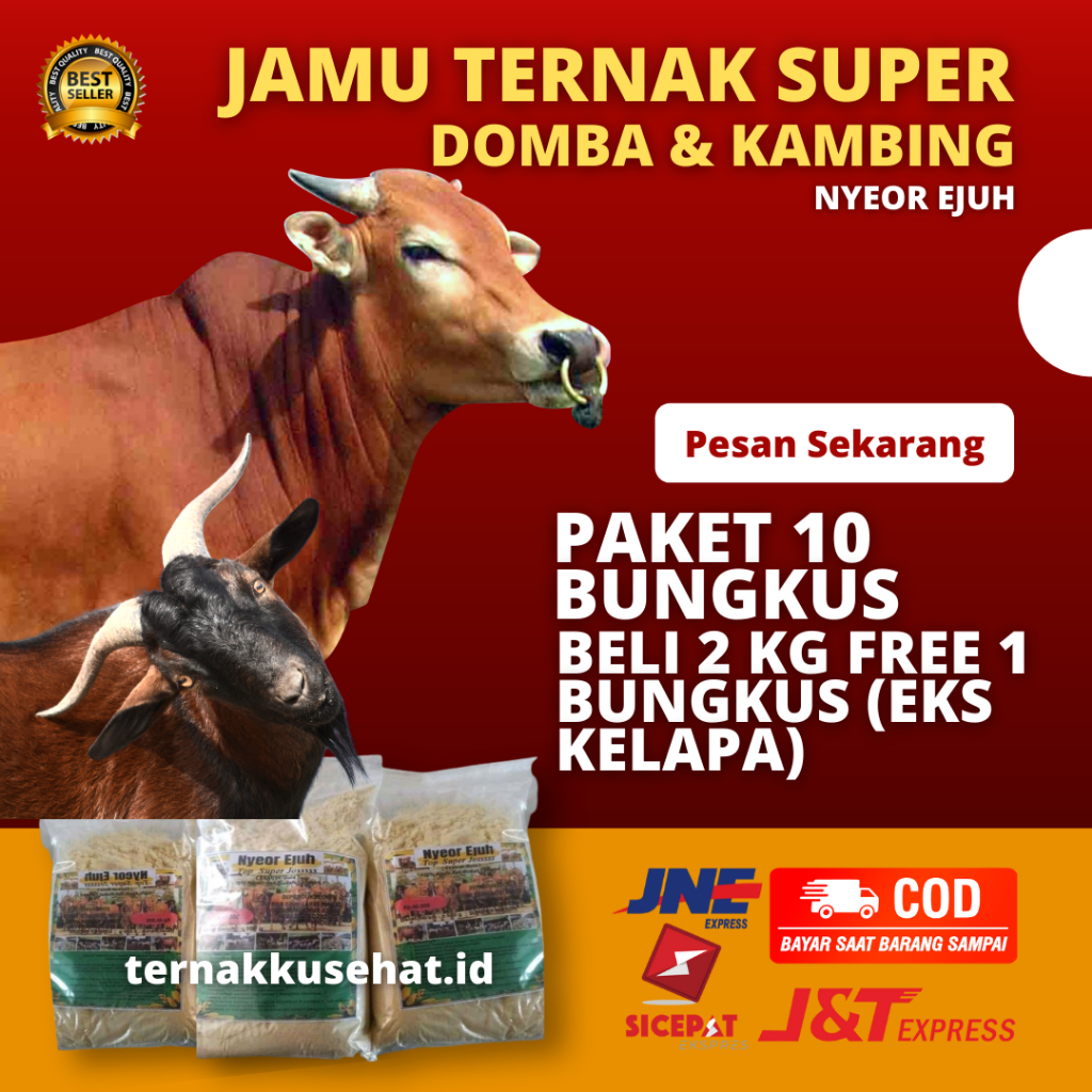Nyeur Ejuh Vitamin Terrnak Sapi Domba Kambing Kuda Pedhet Pedet Penambah Berat Badan Penggemuk Manju