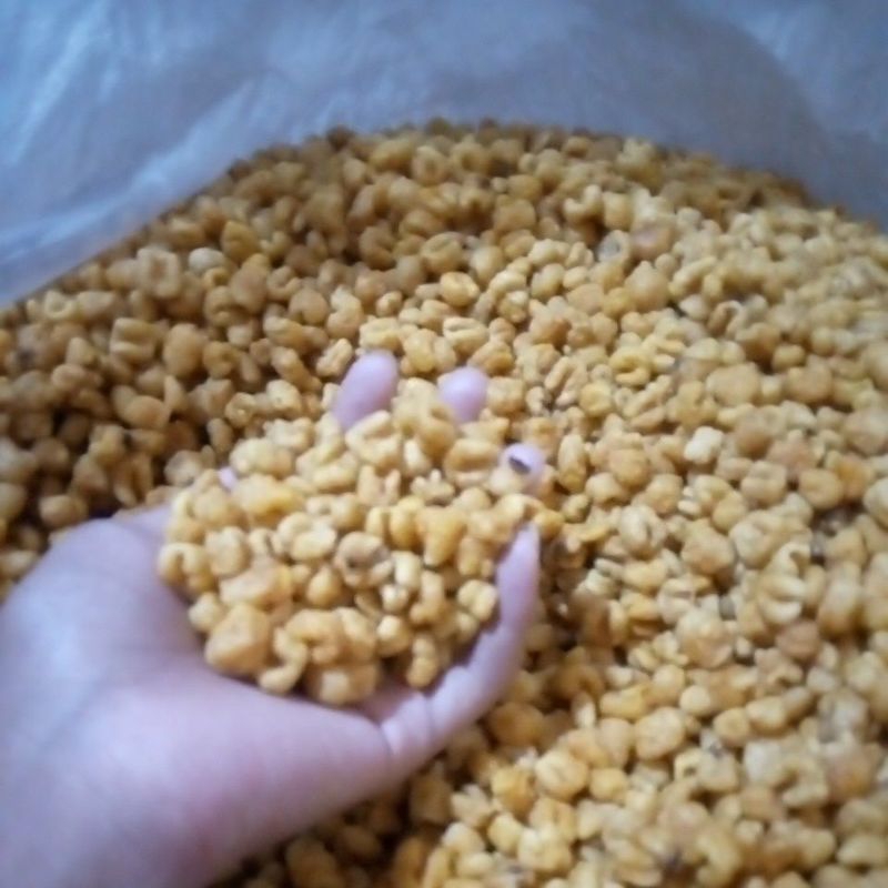 

jagunggoreng