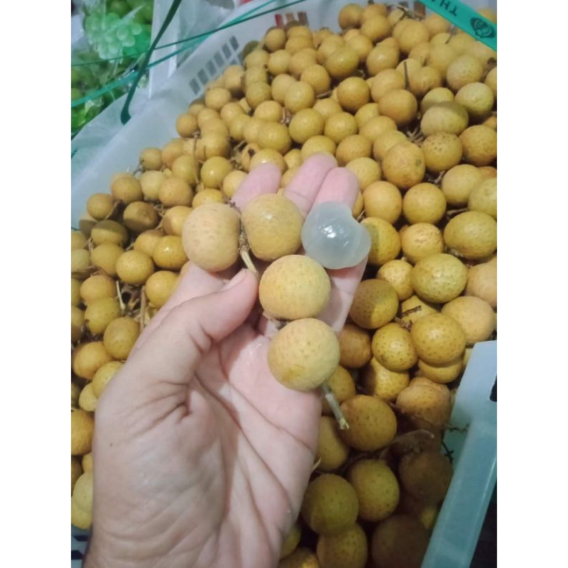 

klengkeng Thailand(500g)