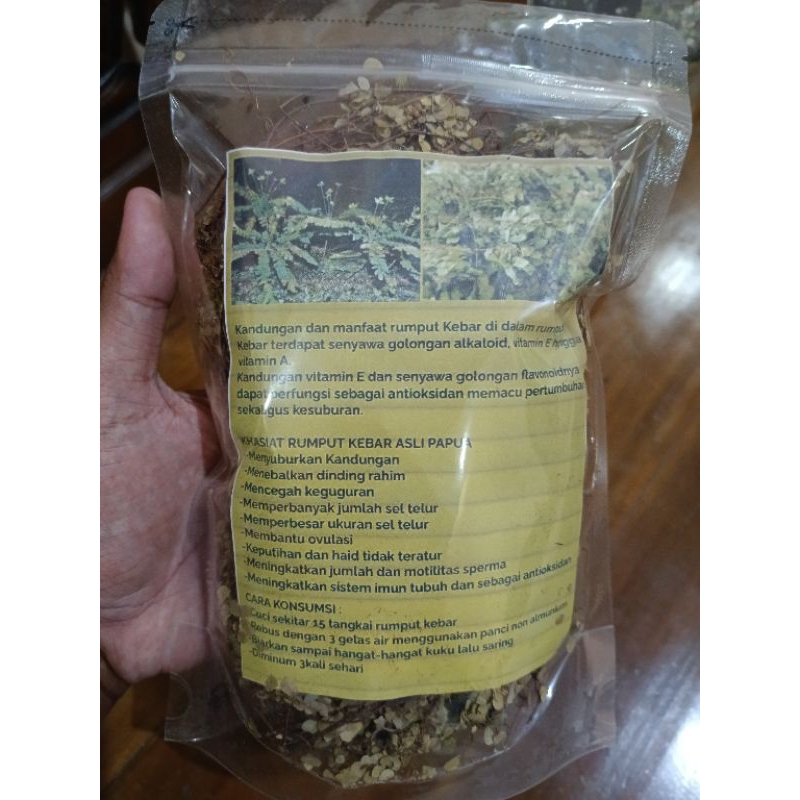

Rumput Kebar Papua Untuk Promil