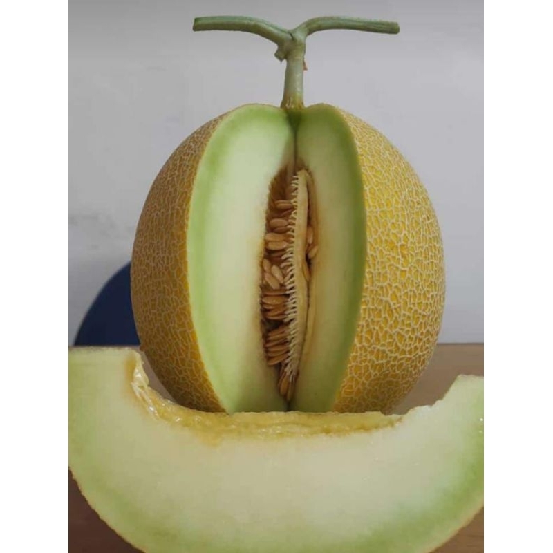 

MELON INTHANOM MANIS N JUICY MANIS ( KURLEB 1.8 KG)