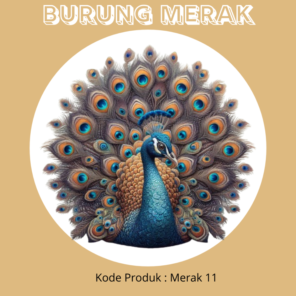 BURUNG MERAK HIASAN SESERAHAN // BURUNG MERAK HIJAU MEWAH