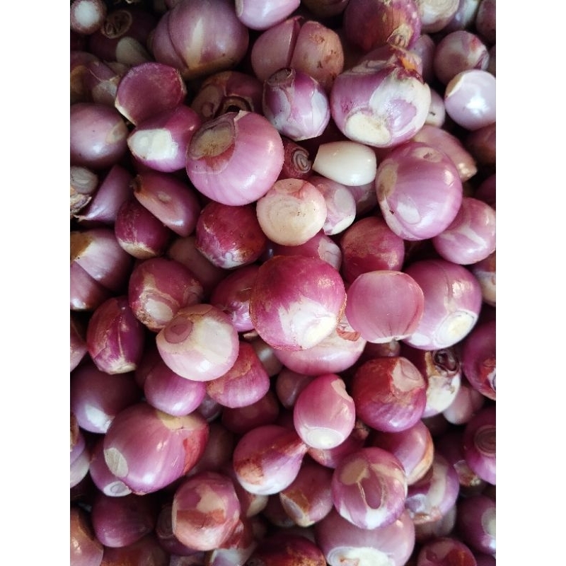 

bawang merah kupas segar