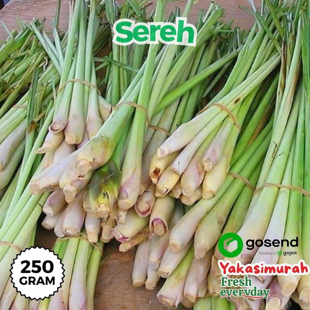 

Sereh Segar / Serai / Batang Sereh 250 gram