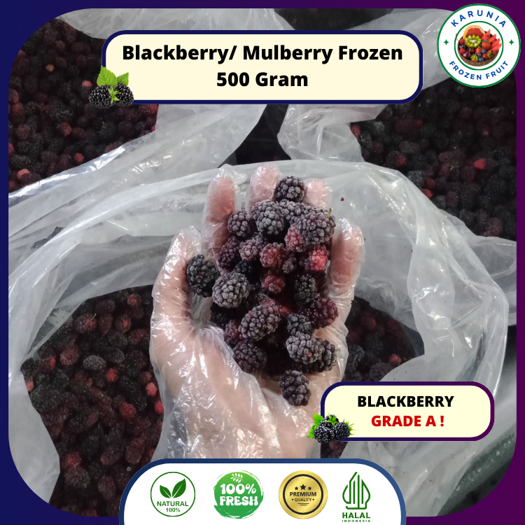 

Blackberry Frozen/ Mulberry beku/ buah mulberries 500 gram GRADE A