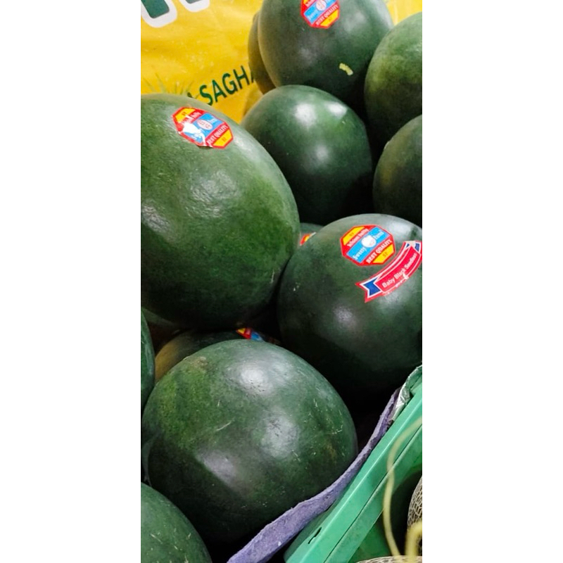 Semangka Baby Black seedless manis enak cilik