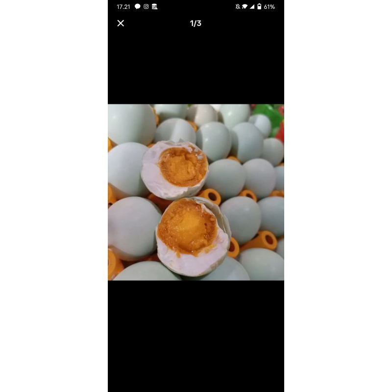 

TelorAsin50Dapat12butir