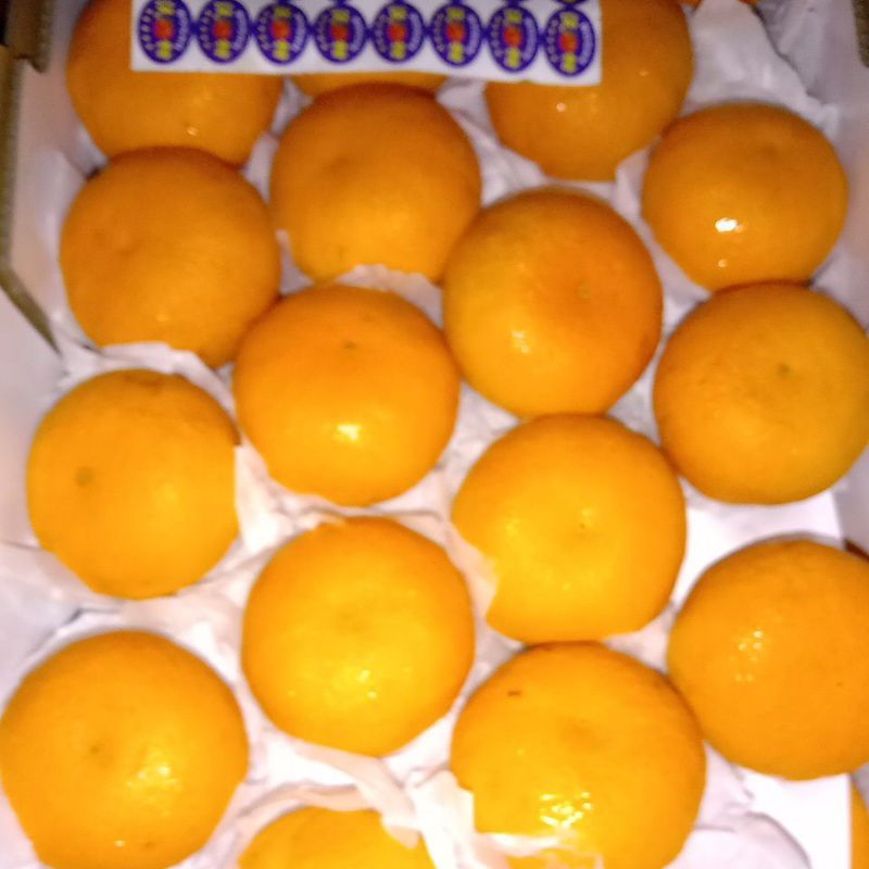 

BUAH JERUK HONEY MURKOT MANISS/kg