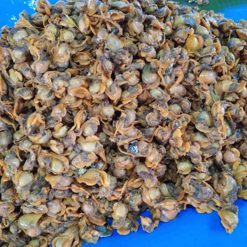 

Kerang Darah Segar - 250gr