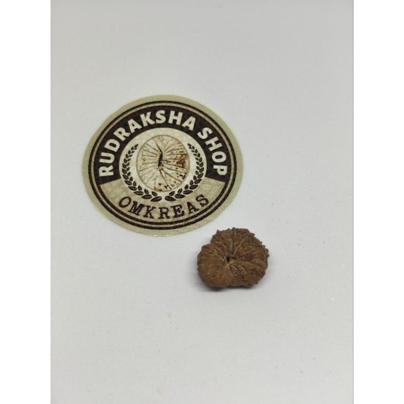 big size mukhi 18  quality b