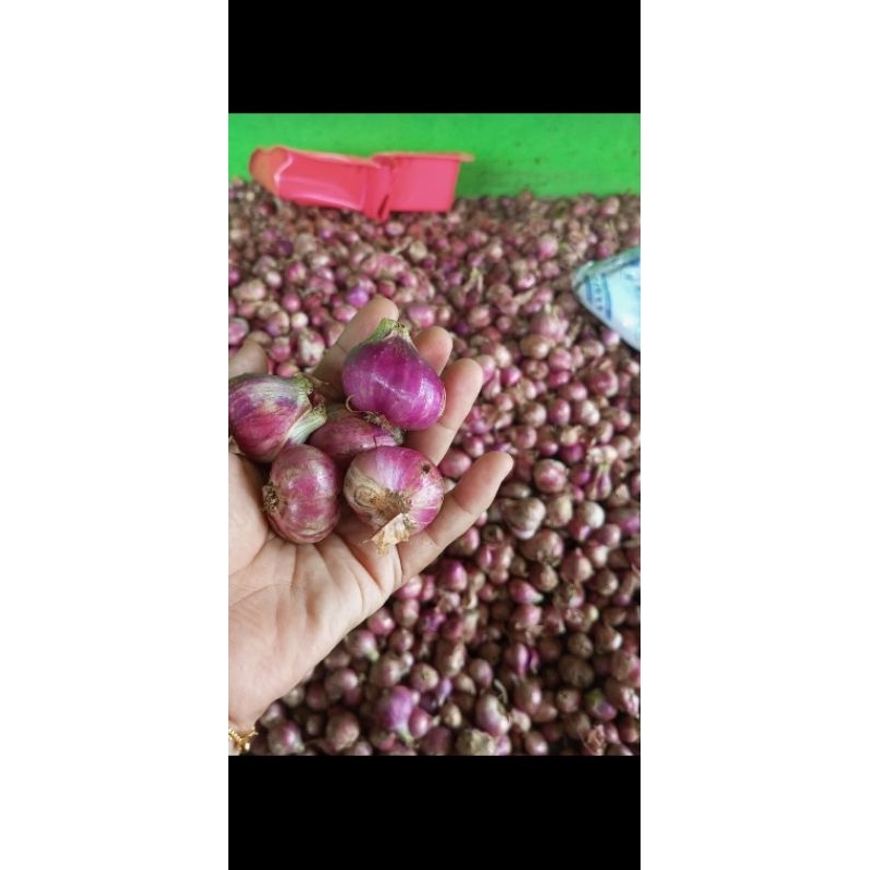 

bawang merah 1kg