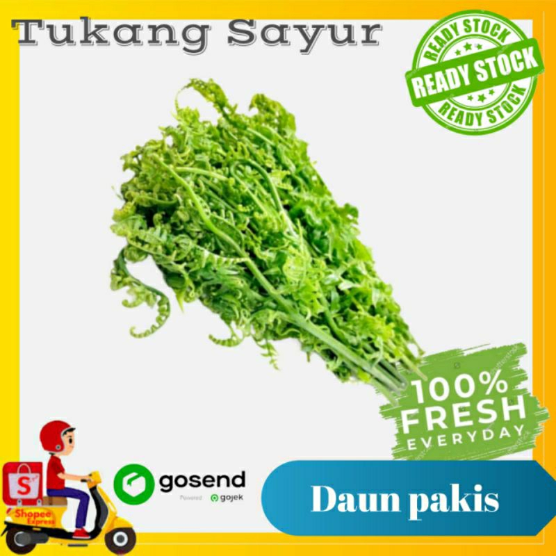 

Daun Pakis / sayur pakis - Sayur segar - Tukang Sayur Palembang