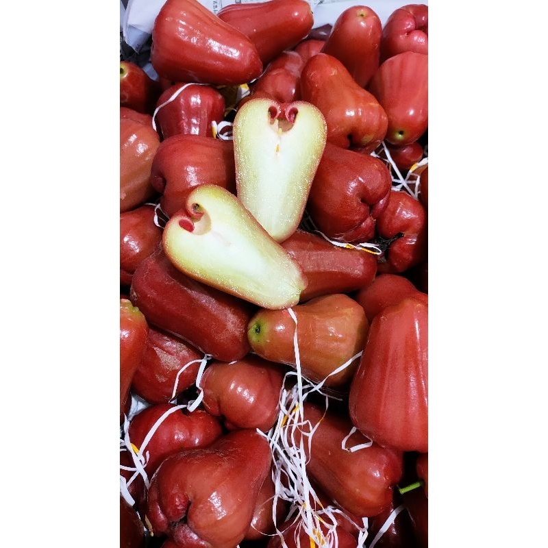 

jambu air citra