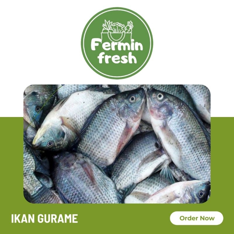 

Fermin Fresh, Ikan gurame segar 500gr