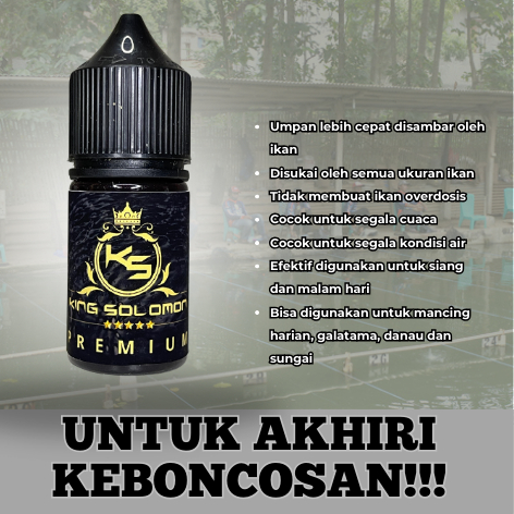 essen ikan mas oplosan king solomon raja gacor ikan rame