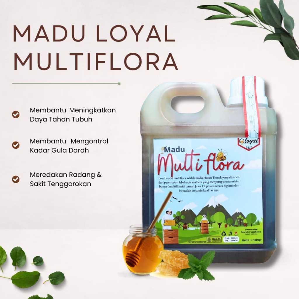 

LOYAL MADU MULTIFLORA 1KG MULTIKHASIAT