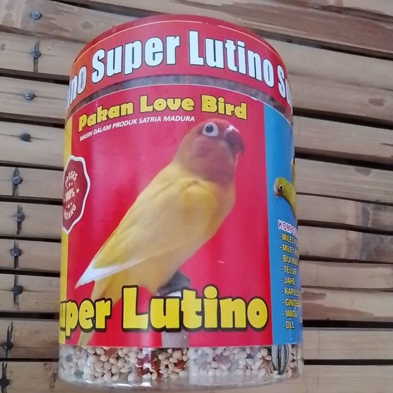 Super Lutino pakan Lovebird