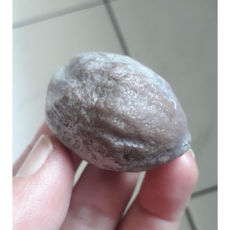 Kemiri Adu Muncang Adu Marinir Ori Kaliwiro