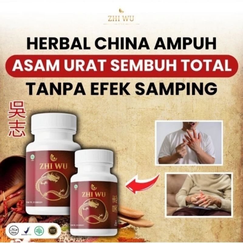 Aurabaik Zhi Wu Original 60 Kapsul Obat Herbal Cina Atasi Asam Urat Dan Rematik Sakit Pinggang Nyeri
