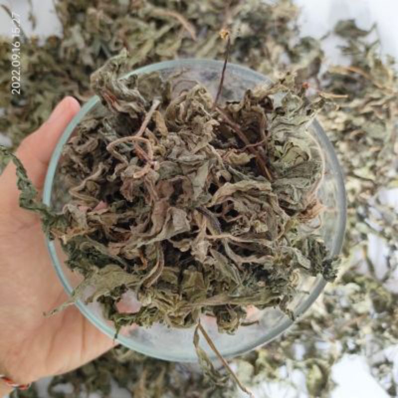 

teh daun insulin kering,500 gram
