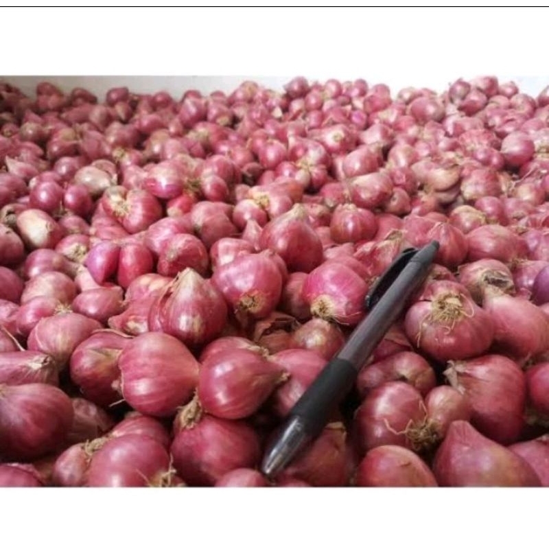 

BAWANG MERAH BREBRS SEDSNG KECIL BESAR CAMPUR / MIX 1Kg