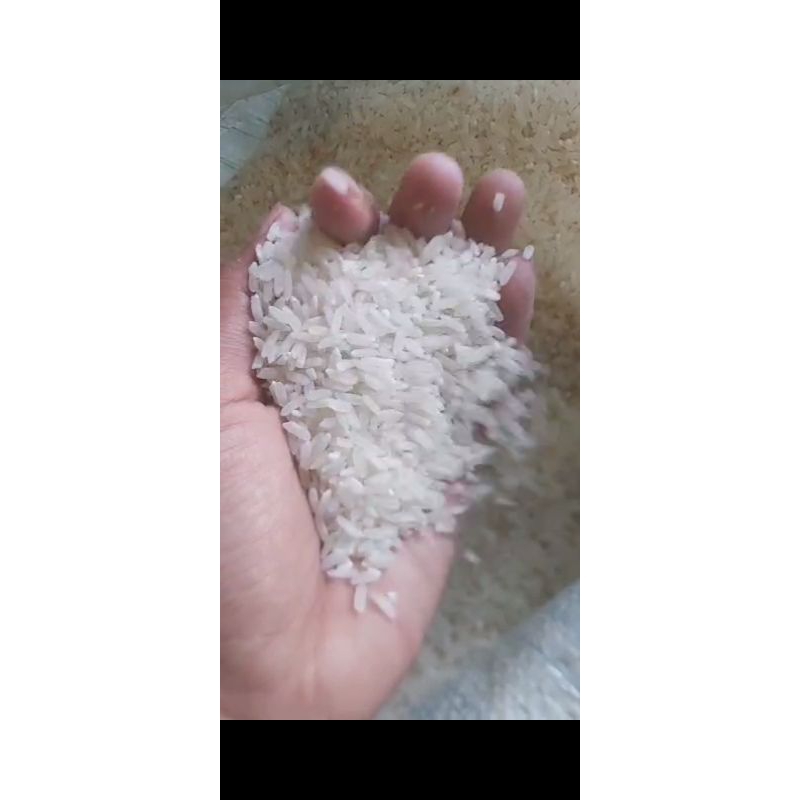 

BERAS SELEP PULEN 20 KG..alami tanpa pengawet dan pemutih