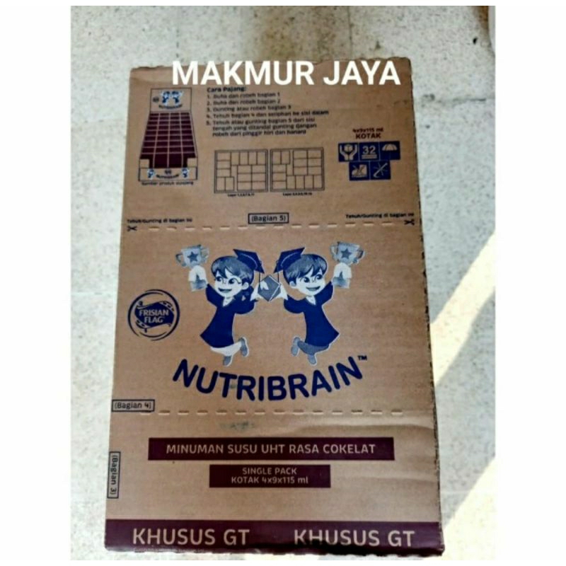 

FRISIAN FLAG NUTRIBRAIN UHT COKELAT 115ml (1 Dus isi 36pcs)