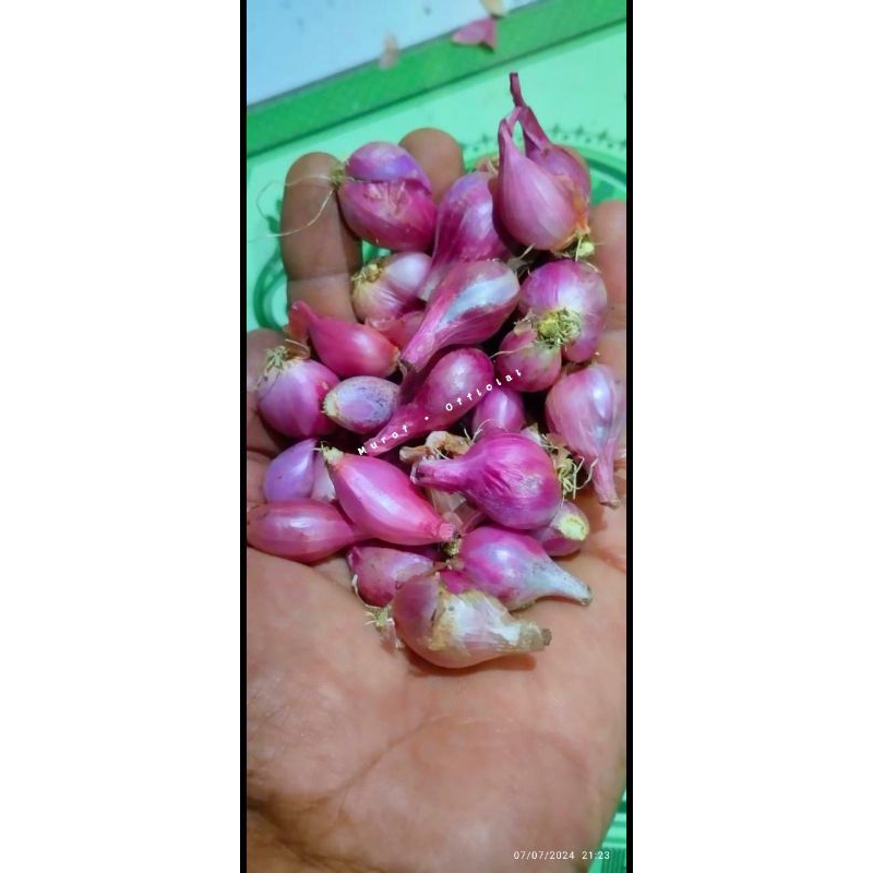 

Bawang merah kecil (bamer kecil)