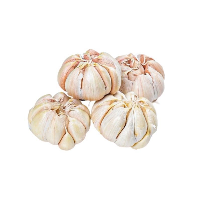 

Bawang Putih Premium Curah