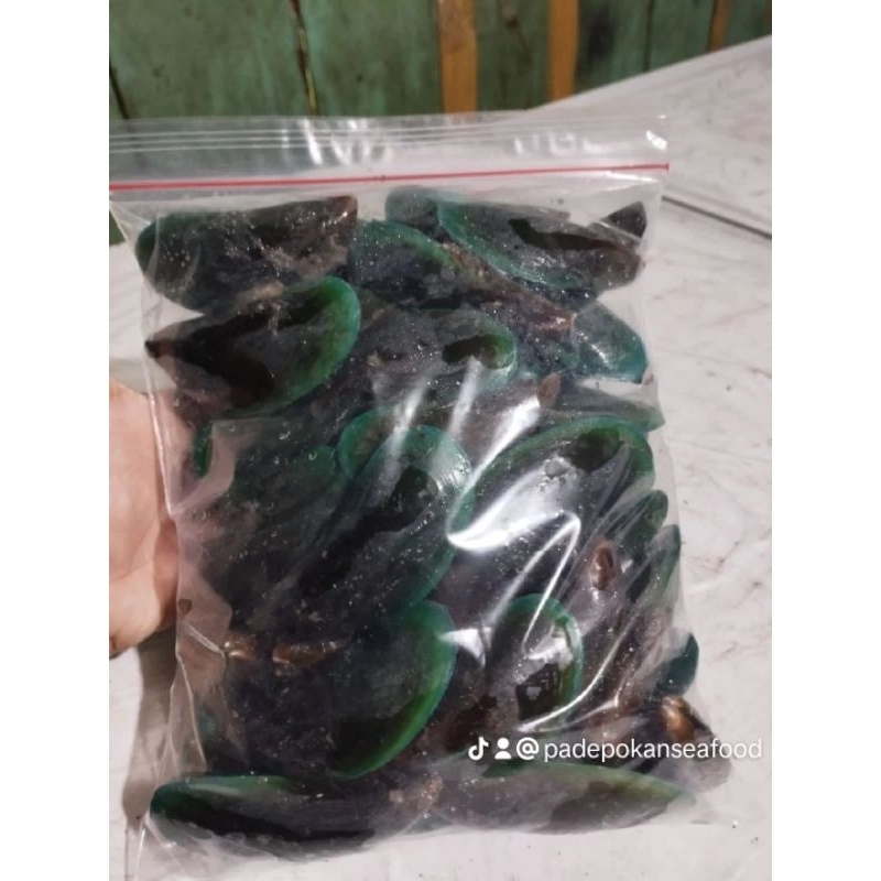 

Kerang hijau 1kg