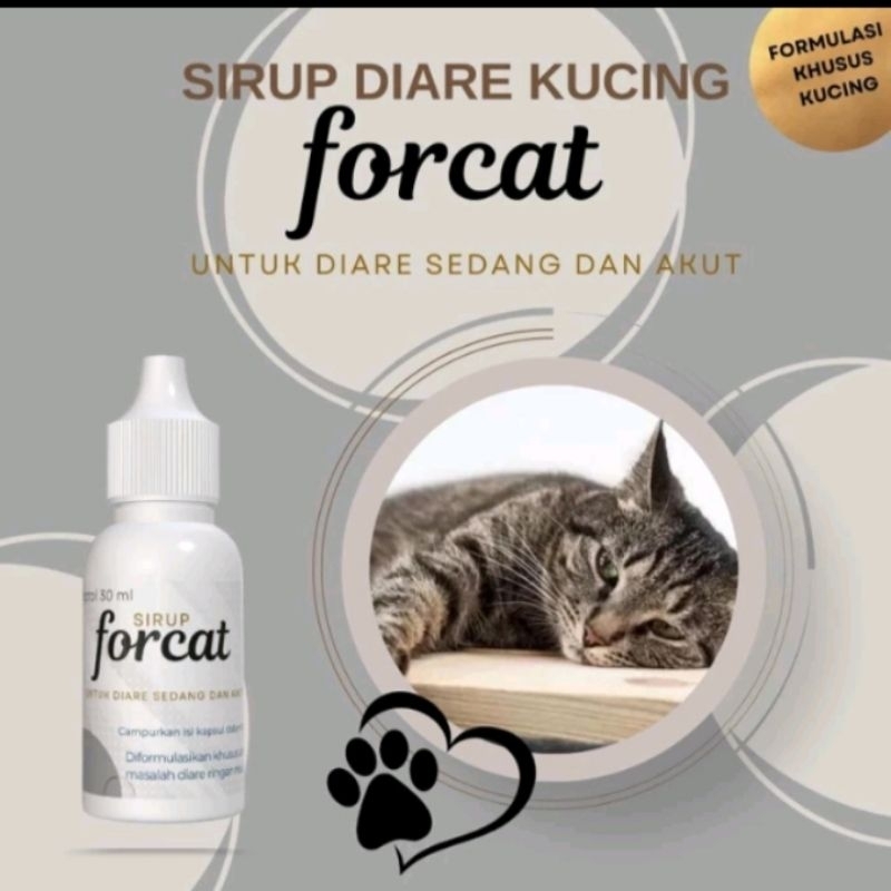 FORCAT Obat Diare Kucing Obat Anti Mencret Berak Darah Gangguan Pencernaan Kucing Muntah