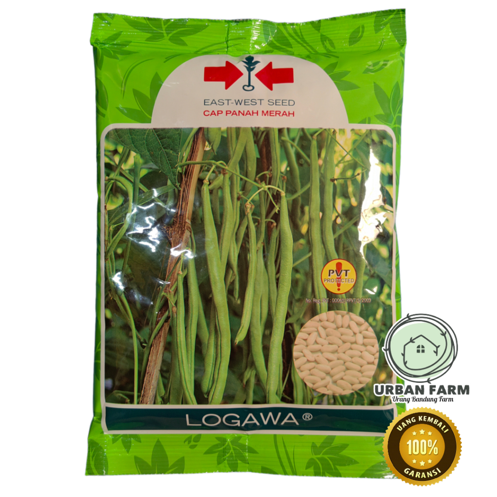 Benih Buncis LOGAWA 500gram / Benih Buncis Cap Panah Merah