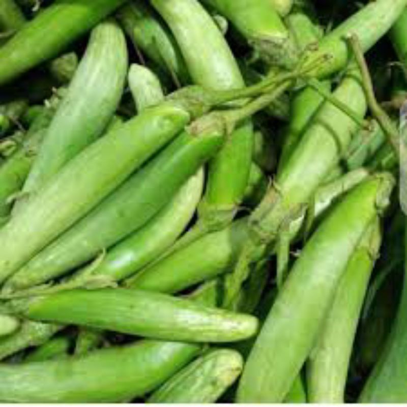 

terong medan 250gram