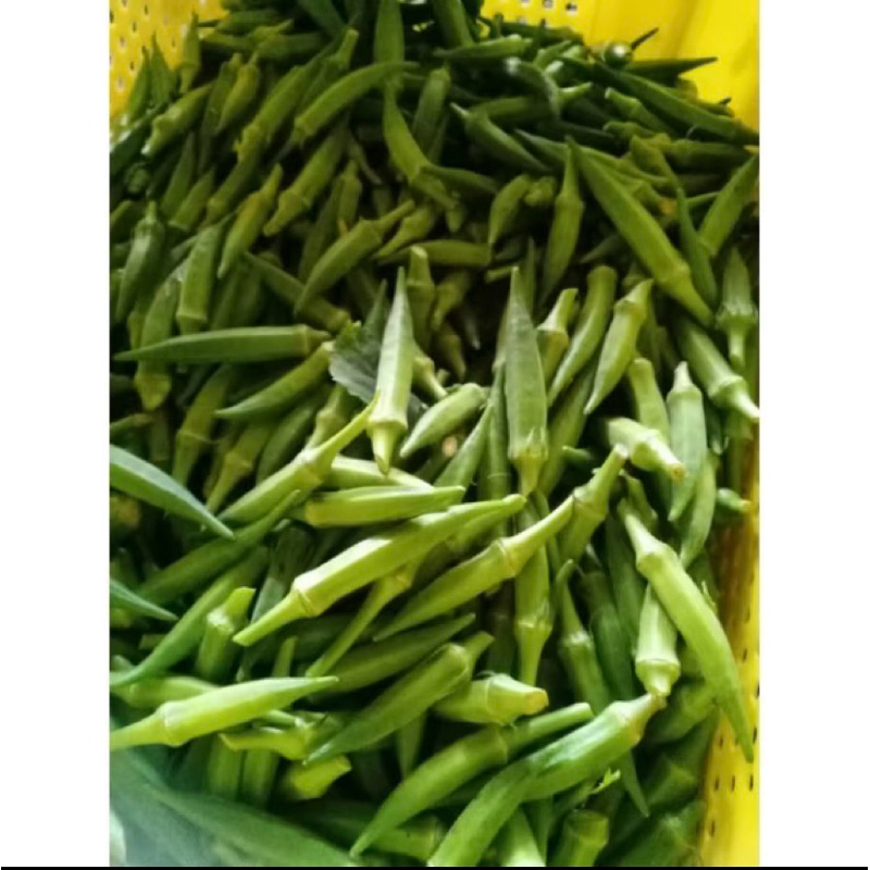 

okra sayur