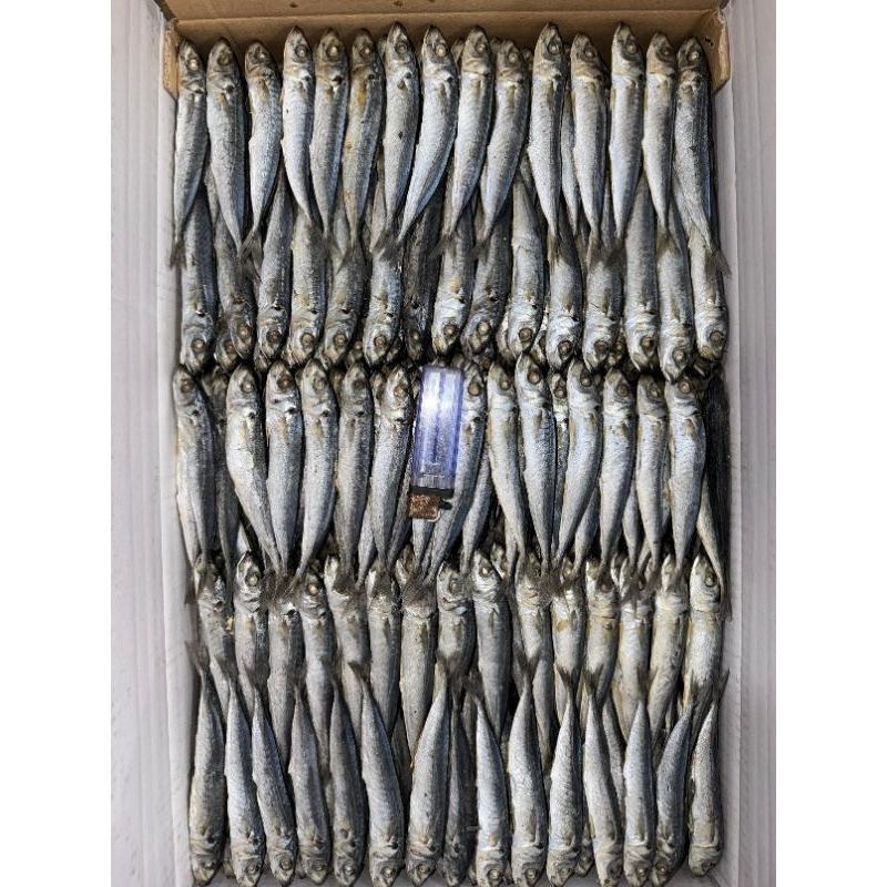 

ikan asin rebus selayang 100gr