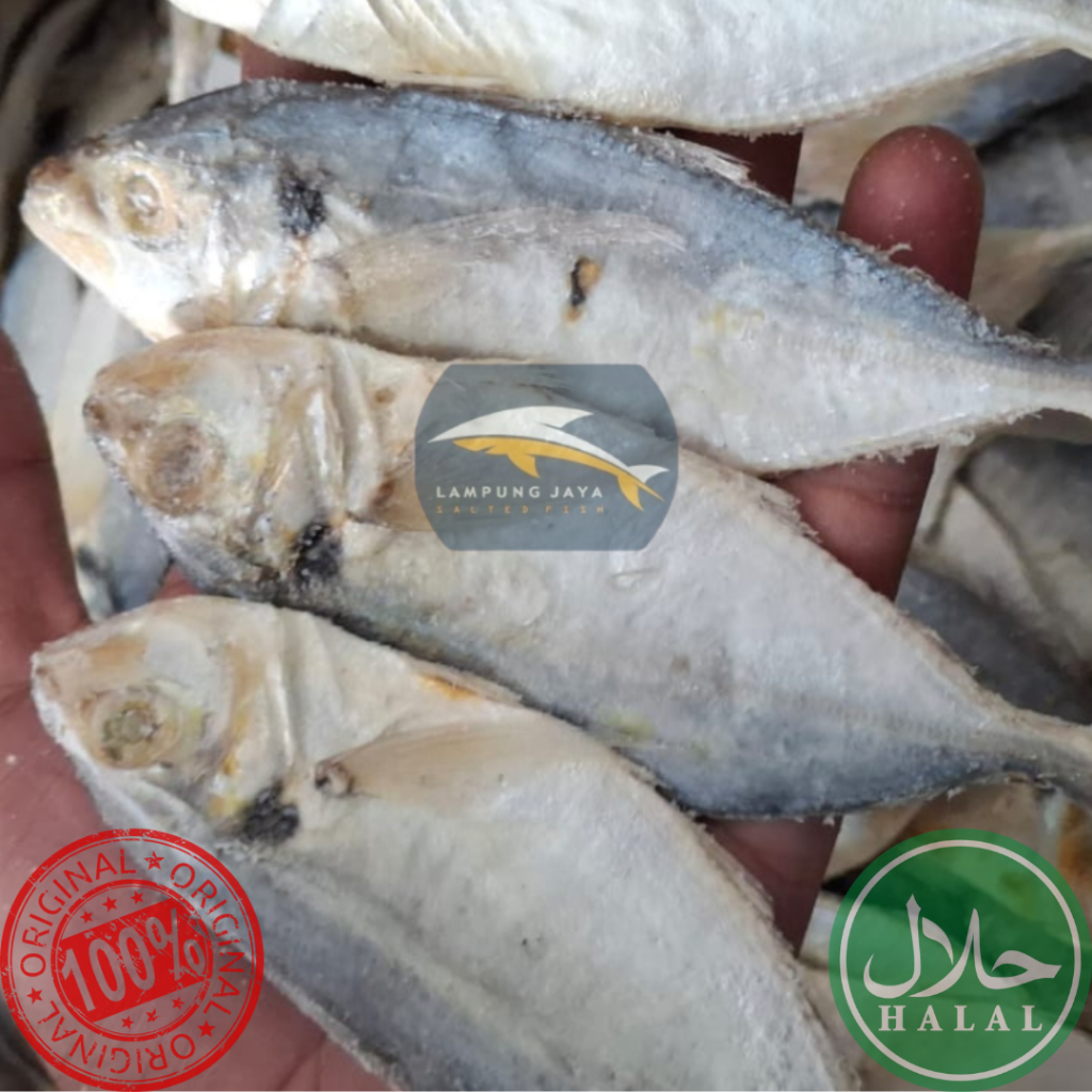 

{BISA COD} 250 GRAM IKAN ASIN SELAR JAWA BERKUALITAS - HARGA GUDANG BERKUALITAS, DISTRIBUTOR PERTAMA DARI PETANI