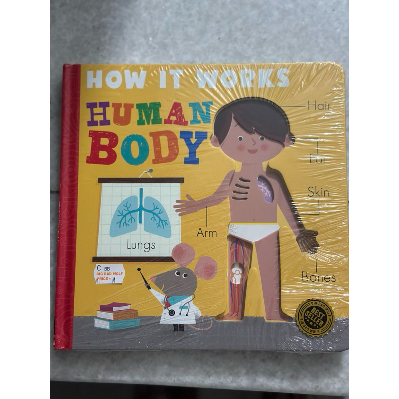 HOW IT WORKS: HUMAN BODY (LARGE SIZE)