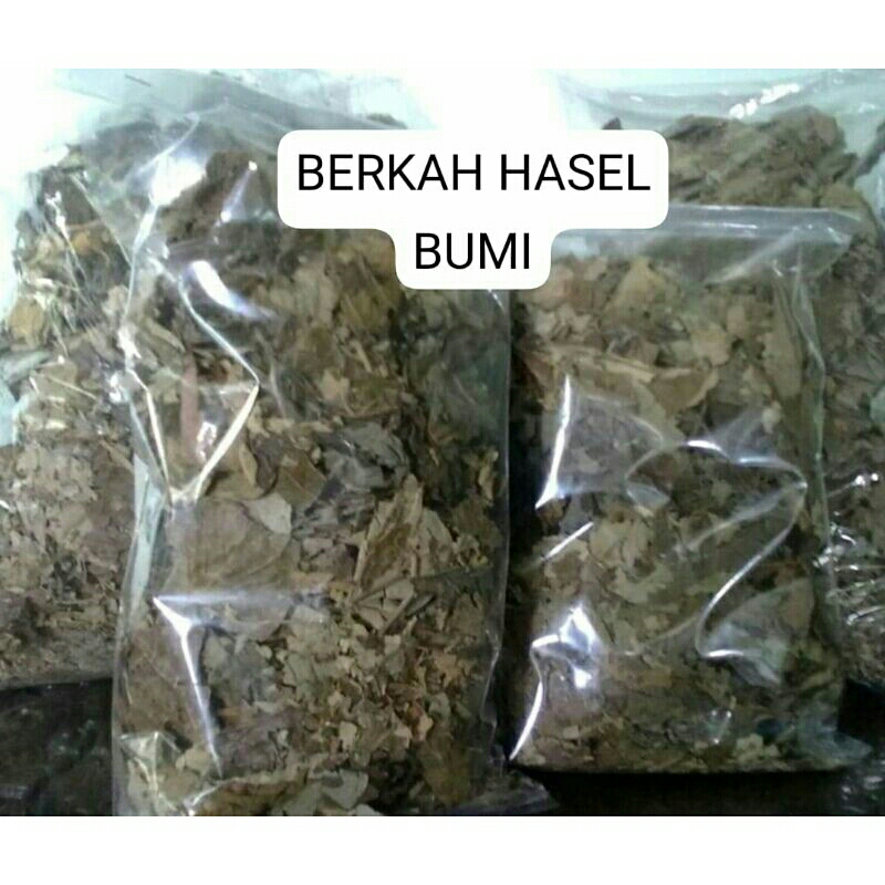 

HERBAL ALAMI 50g HERBAL ALAMI TEH DAUN JATI BELANDA kereng