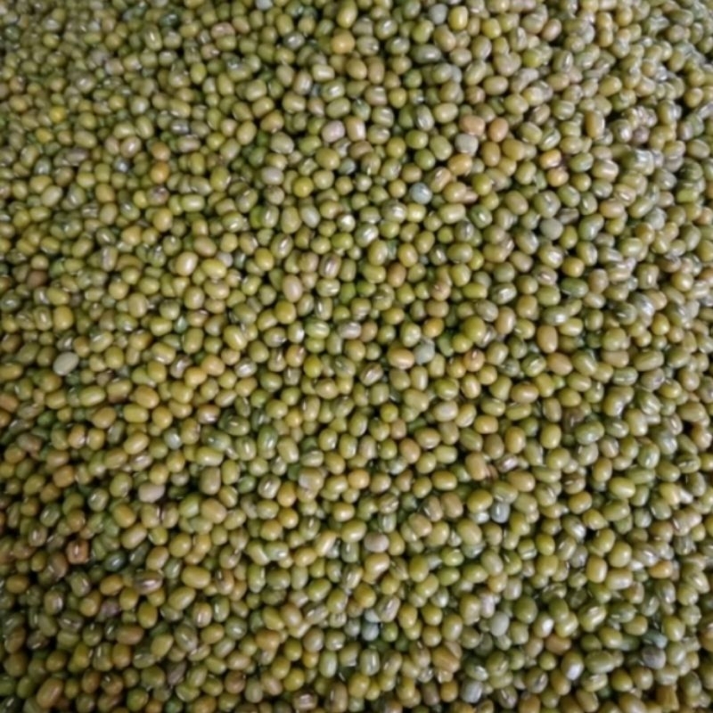 

kacang hijau 250 gram.