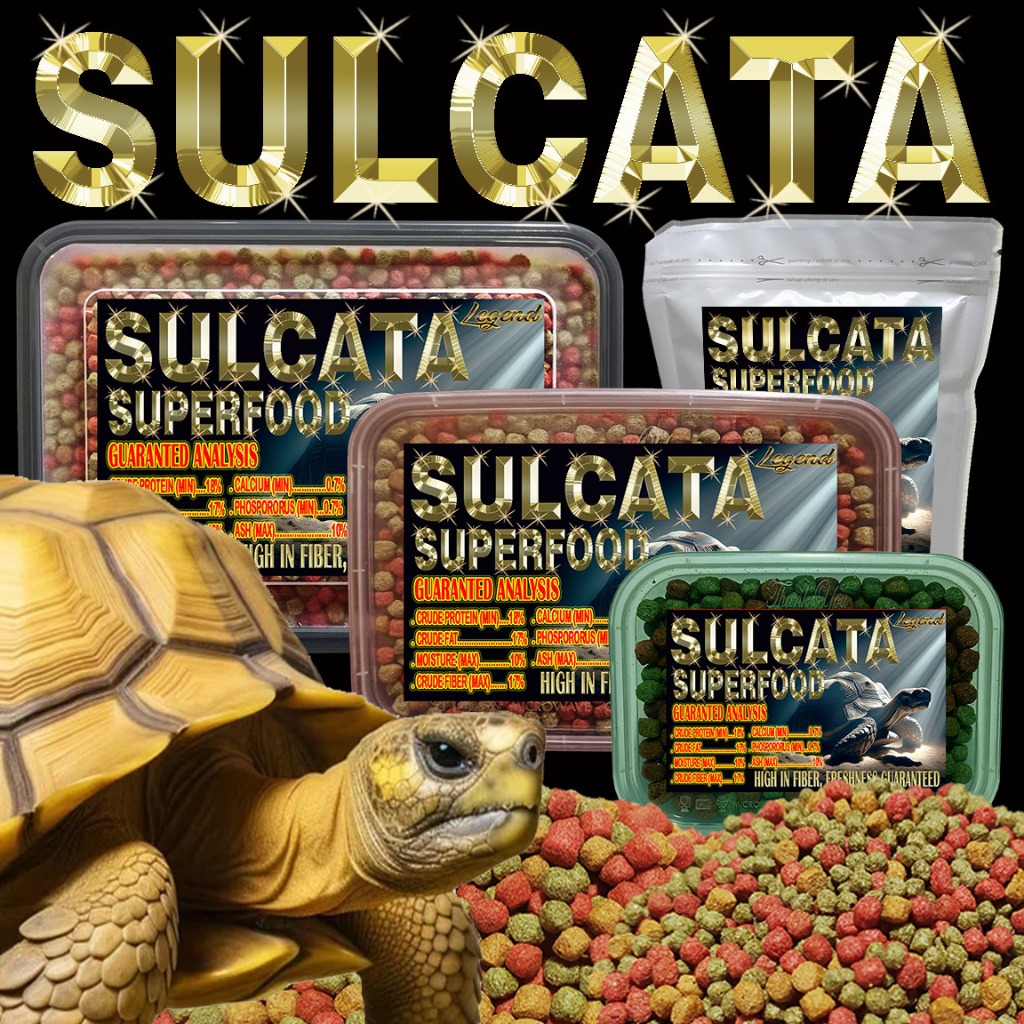 SULCATA SUPERFOOD MAKANAN KURA-KURA DARAT TORTOISE CENTHROCHELYS SULKATA ADULT BABY BITES PAKAN PELE