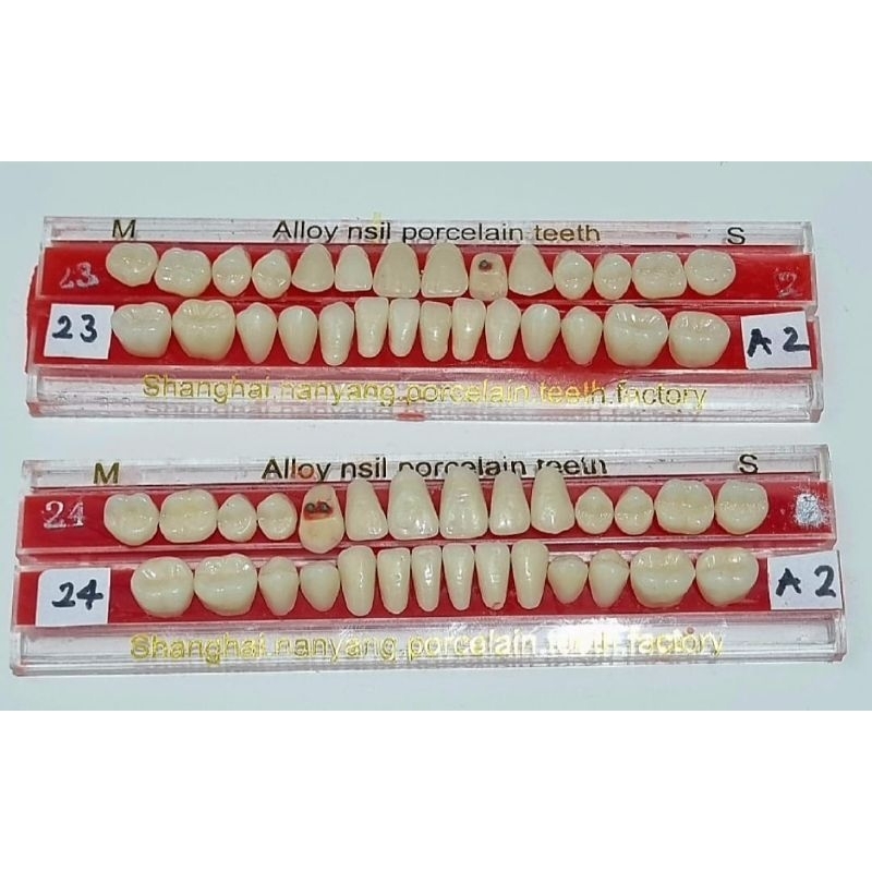 Alloy Pin Porcelain teeth ( GIGI PALSU ALLOY PIN PORCELAIN) GIGI PORSELEN