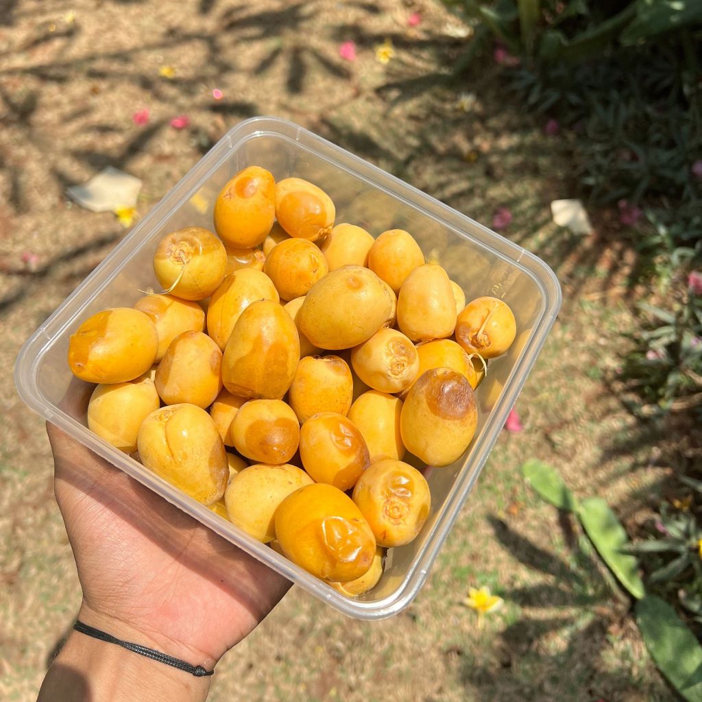 

Kurma Muda Nitik Kurma Muda setengah Matang Manis