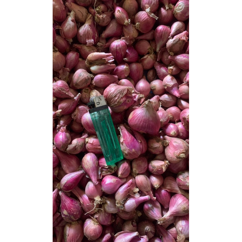 

BAWANG MERAH SUPER 1kg 20k