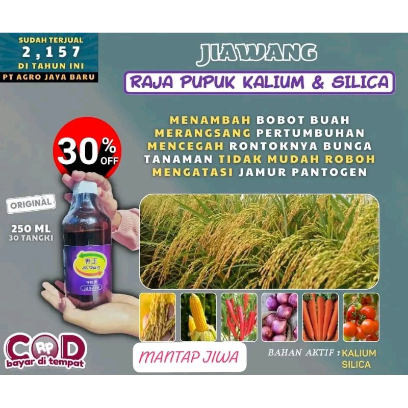 Jia Wang Raja Pupuk Kalium dan Silika Original 250Ml