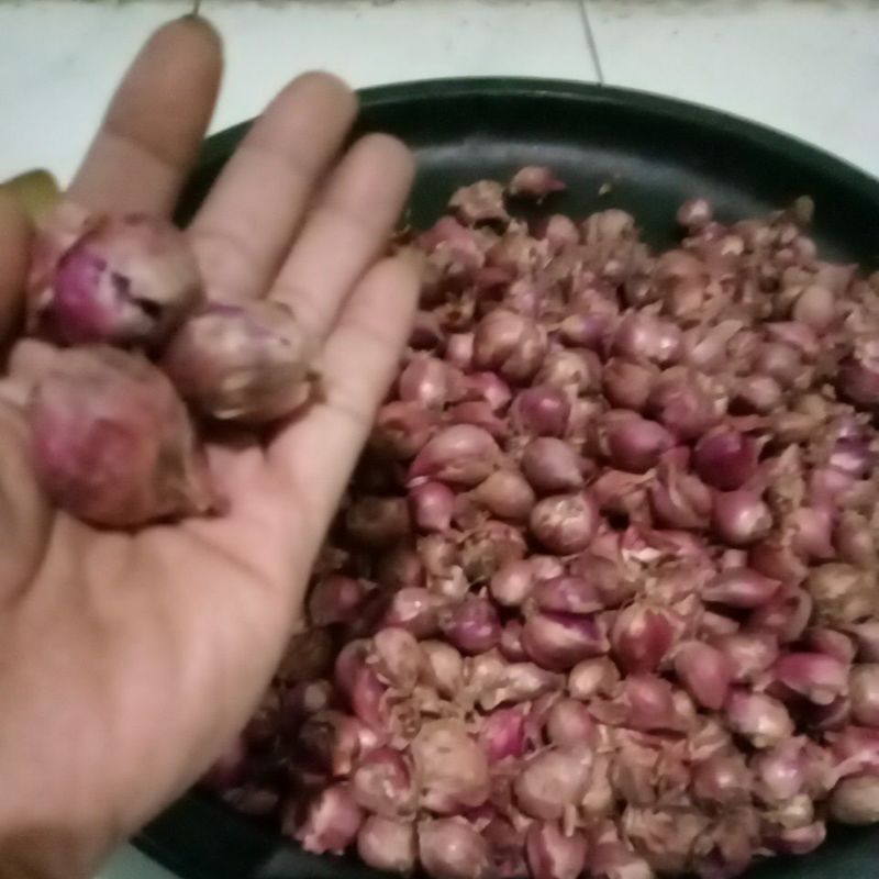 

Bawang merah Nganjuk besar besar