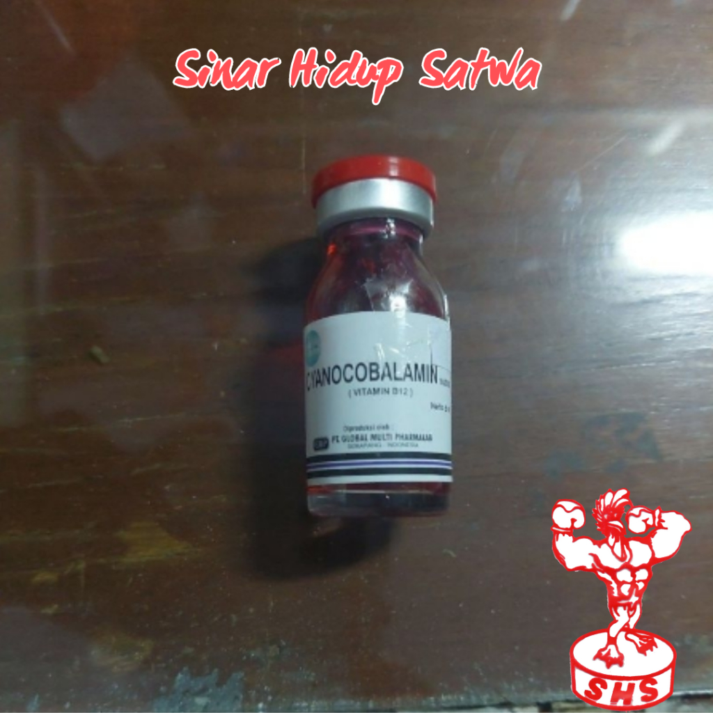 obat ayam pucat kuning dan lesu b12 cair