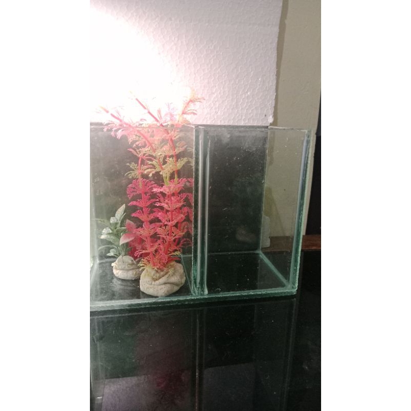 Aquarium nomor 3
