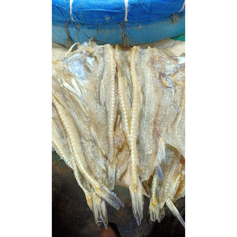 

ikan kering Siting 250gr