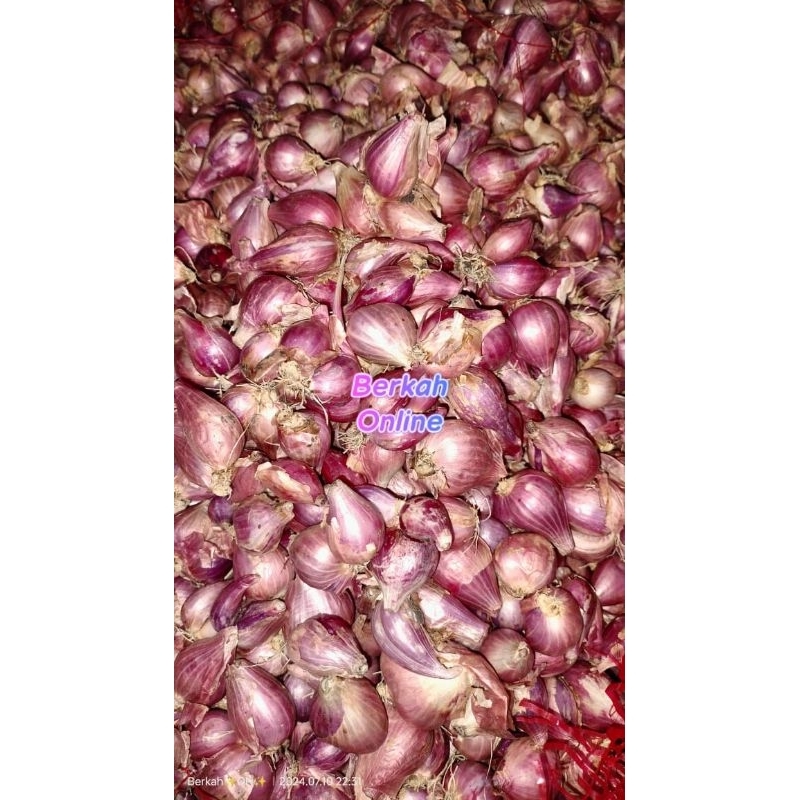 

BAWANG MERAH SUPER 1KG