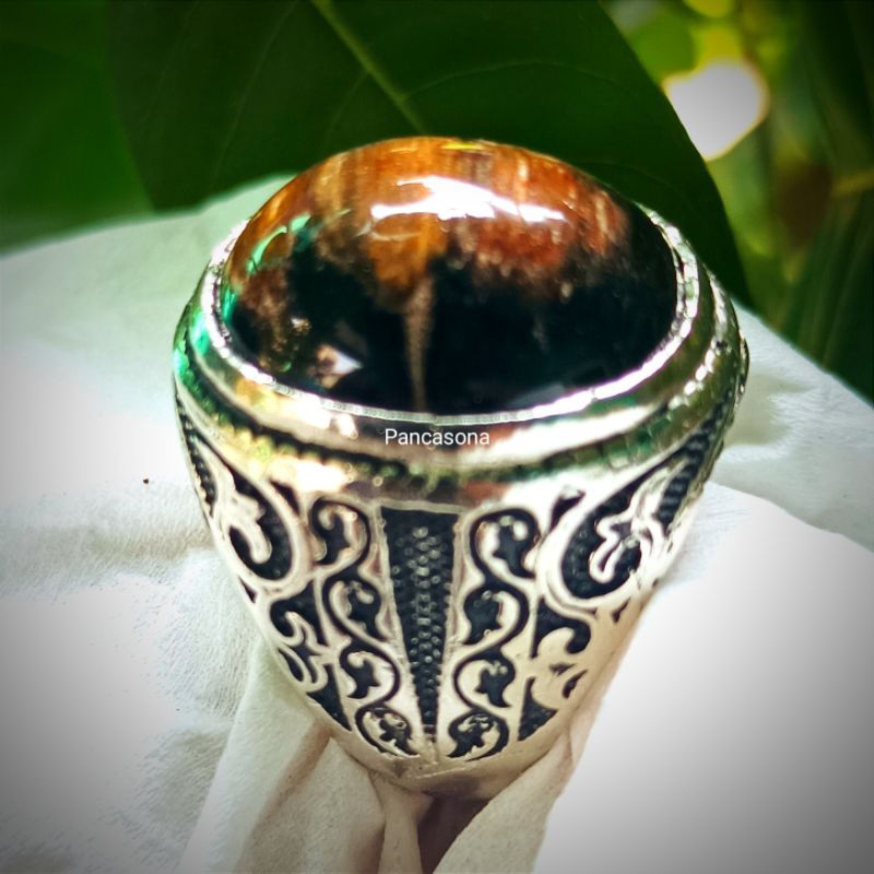 FOSIL KELOR ASLI NATURAL